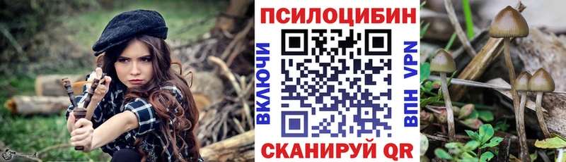 omg ССЫЛКА Усть-Кут Псилоцибиновые грибы ЛСД