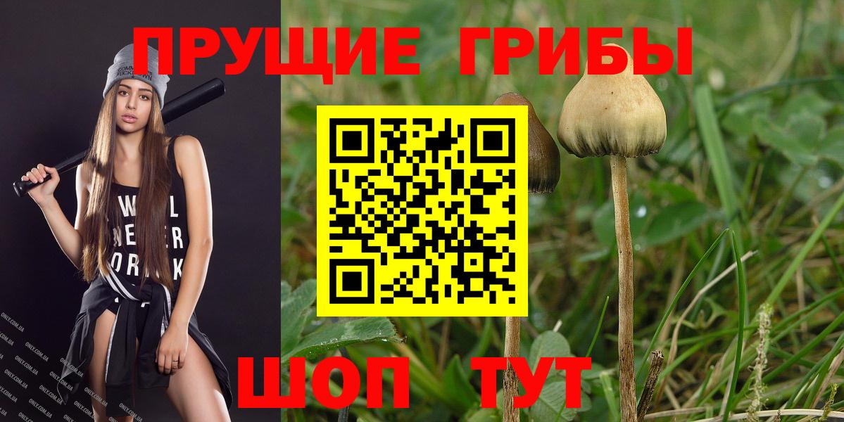 Усть-Кут  Псилоцибиновые грибы Magic Shrooms  Галлюциногенные грибы MAGIC MUSHROOMS  Вход с VPN 